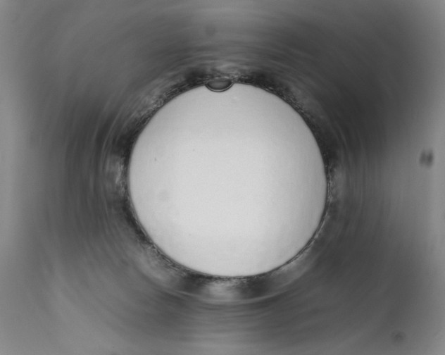X0000111650178200908071417