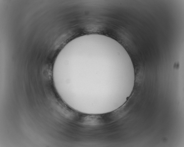 X0000111650179200908071418