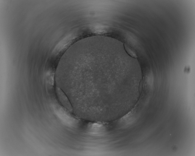 X0000111650180200908071418