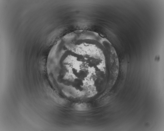 X0000111650181200908071418