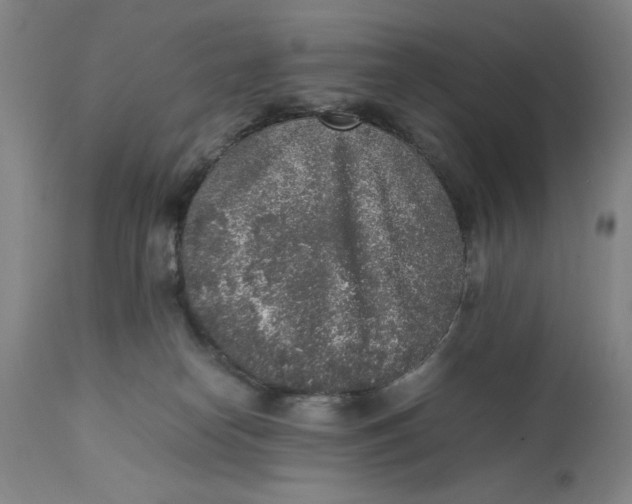 X0000111650182200908071418