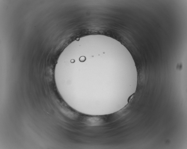 X0000111650183200908071418