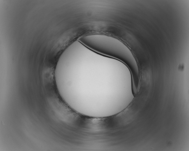 X0000111650184200908071418