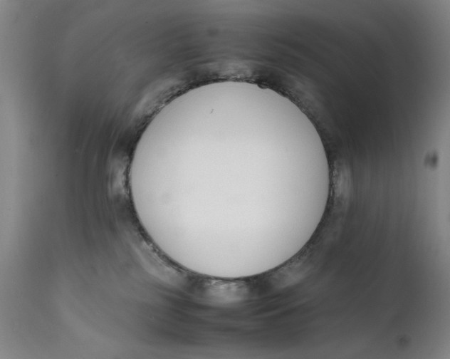 X0000111650185200908071418