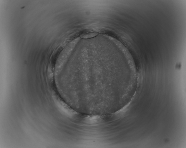 X0000111650186200908071418