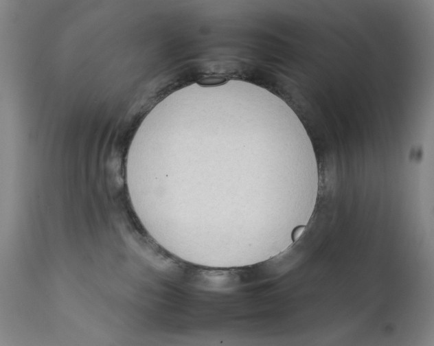 X0000111650187200908071418