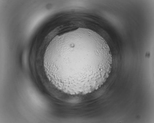 X0000111650189200908071418