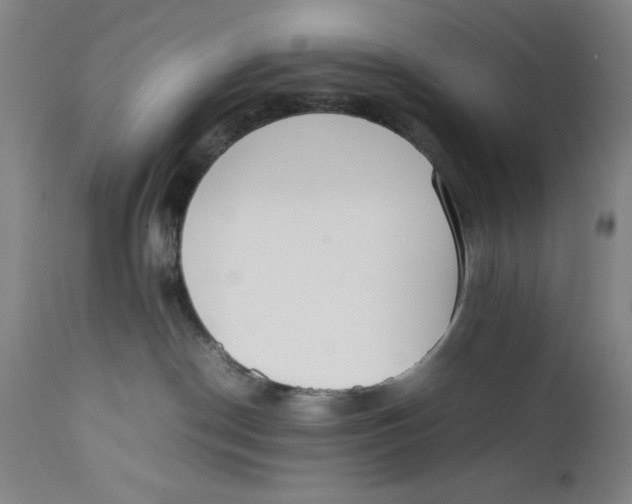 X0000111650190200908071418