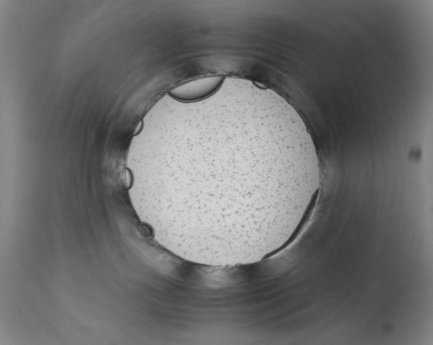 X0000111650191200908071418