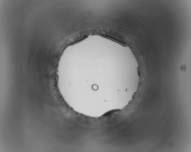 X0000111650192200908071418