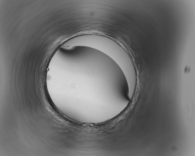 X0000111650193200908071417