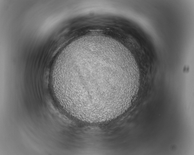 X0000111650194200908071417