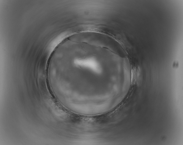X0000111650195200908071417