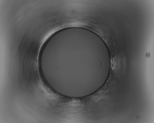 X0000111650196200908071417