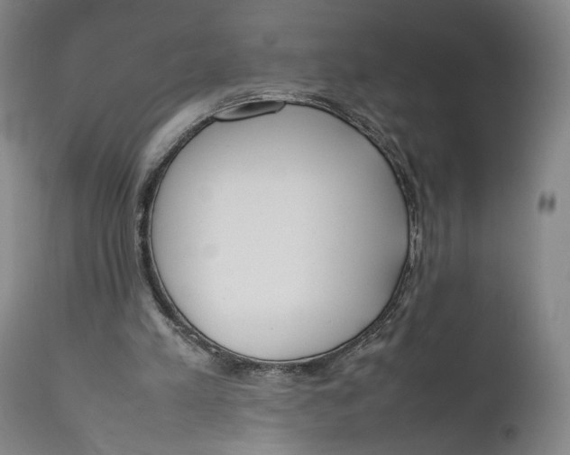 X0000111650197200908071417