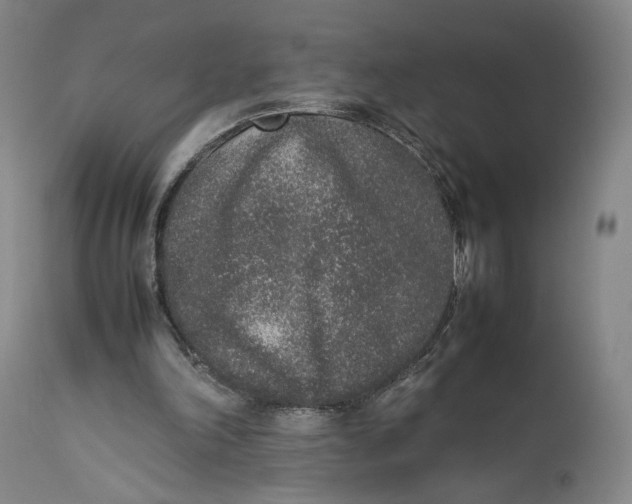 X0000111650198200908071417