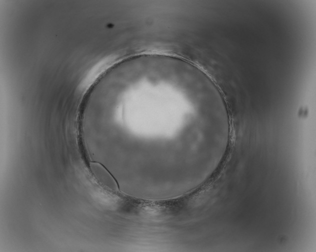 X0000111650199200908071417