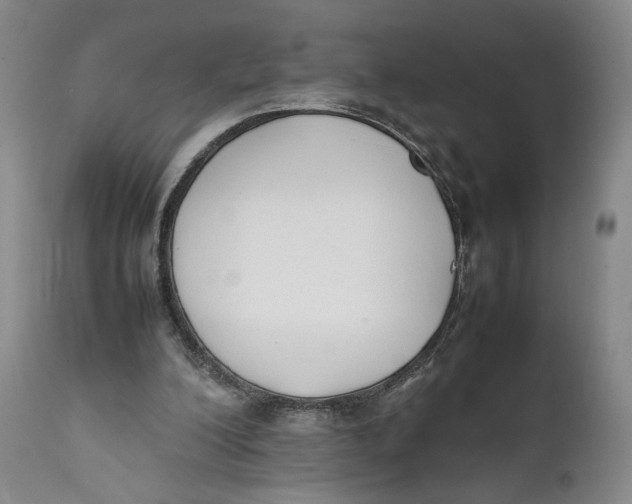 X0000111650200200908071417