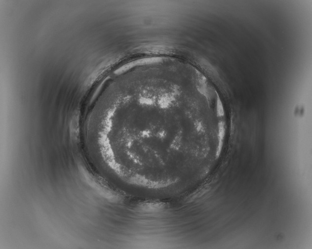 X0000111650202200908071417