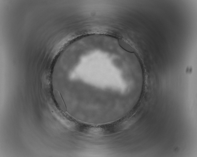 X0000111650203200908071417