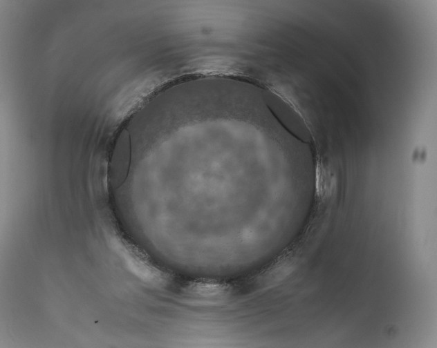 X0000111650205200908071417