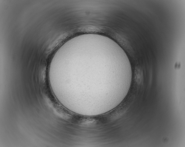 X0000111650206200908071417