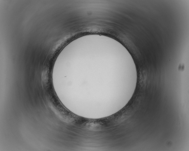 X0000111650208200908071417