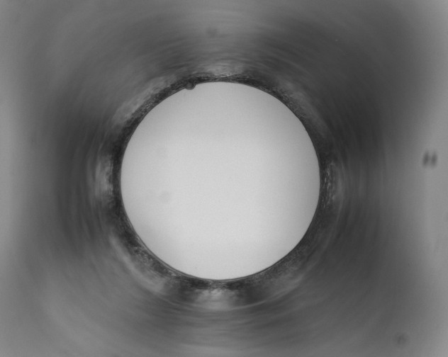 X0000111650212200908071417