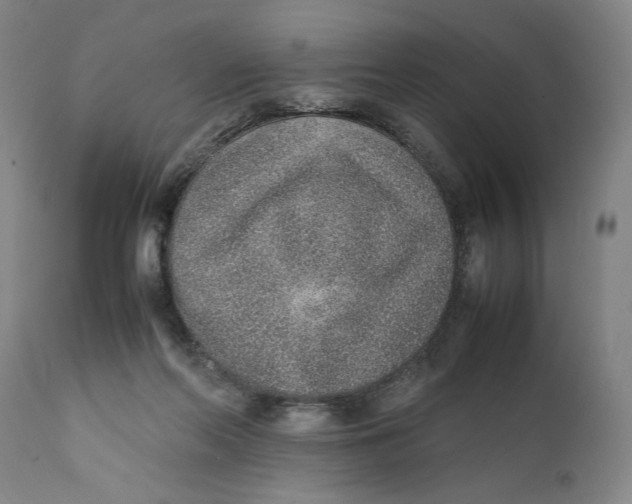 X0000111650214200908071417