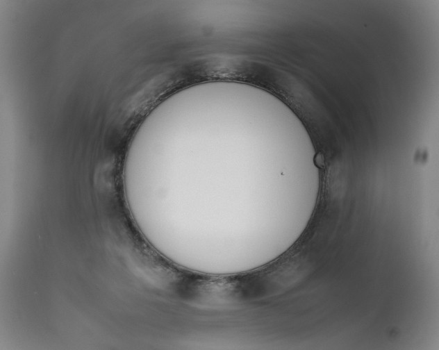 X0000111650217200908071417