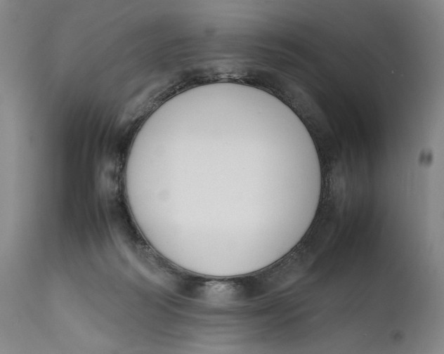 X0000111650218200908071417