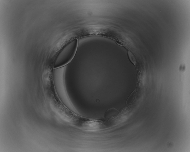 X0000111650219200908071417