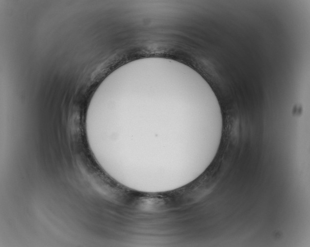 X0000111650220200908071416
