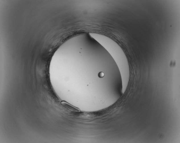 X0000111650221200908071416