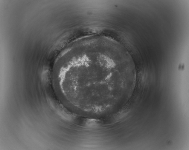 X0000111650222200908071416