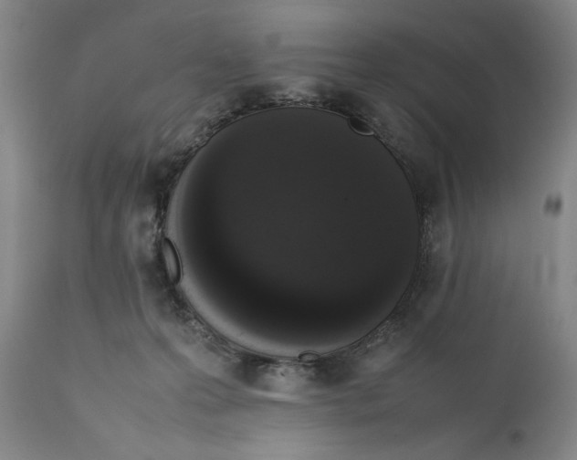 X0000111650223200908071416