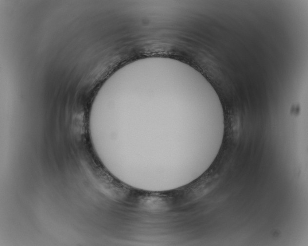 X0000111650224200908071416