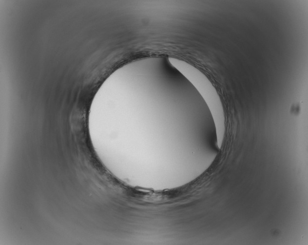 X0000111650225200908071416