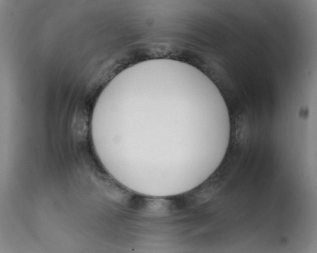 X0000111650226200908071416