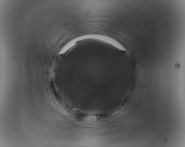 X0000111650227200908071416