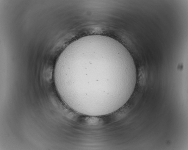 X0000111650230200908071416
