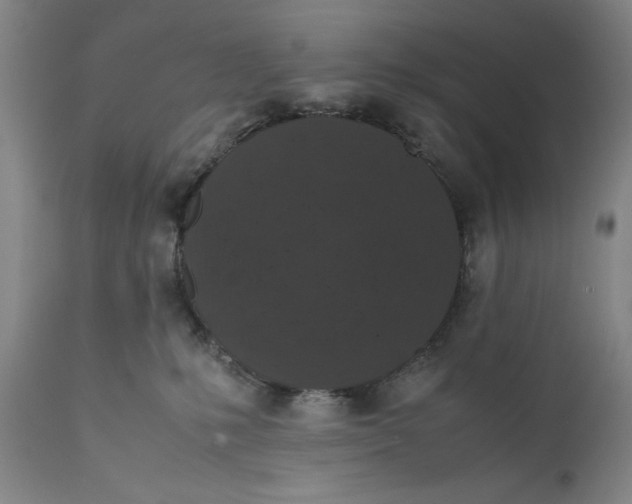 X0000111650231200908071416