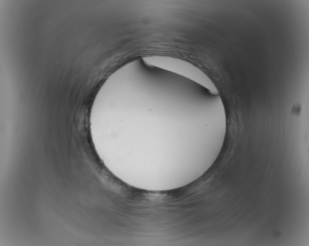 X0000111650233200908071416