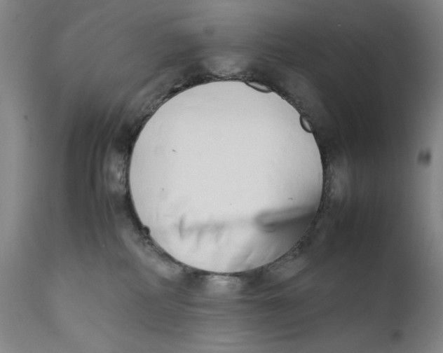 X0000111650234200908071416