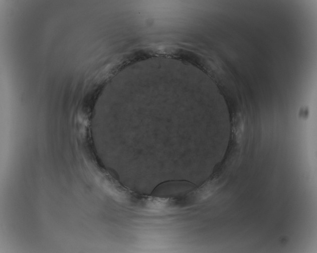 X0000111650235200908071416