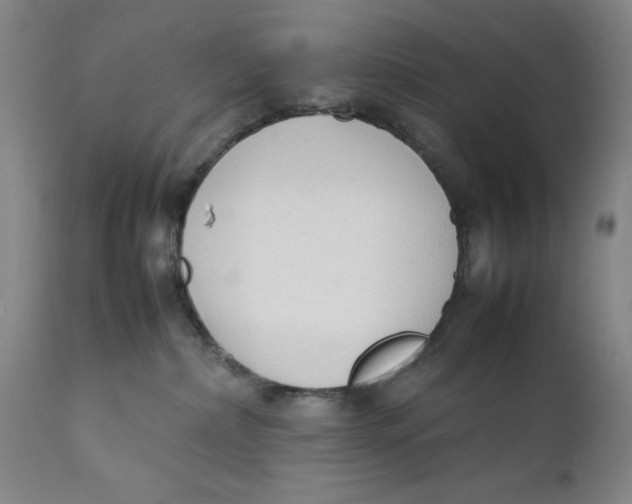 X0000111650236200908071416
