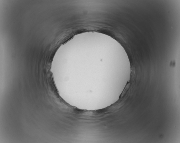 X0000111650237200908071416