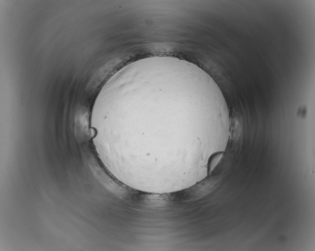 X0000111650238200908071416