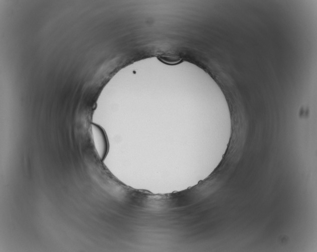 X0000111650240200908071416