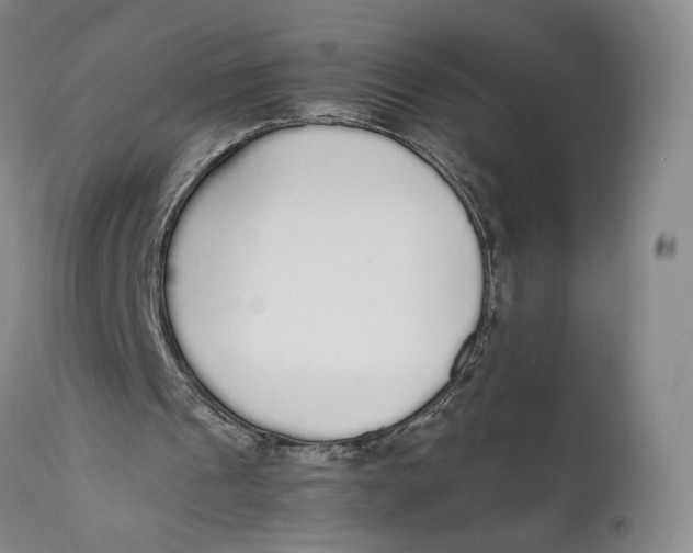 X0000111650241200908071415